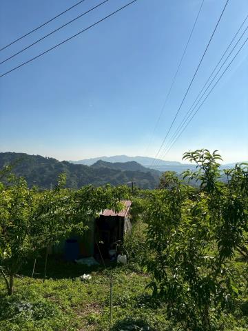 台中農地-4