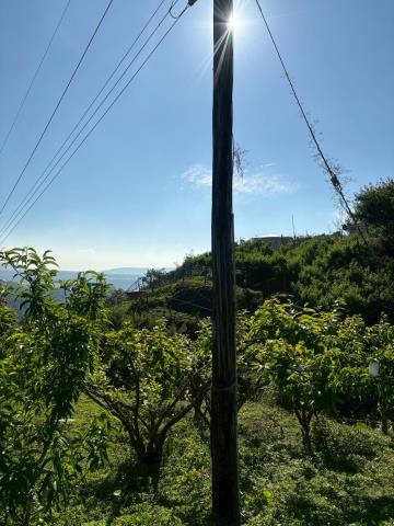 台中農地-8